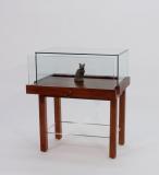Museum Display b