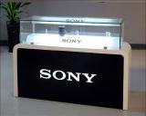 Camera Display Counter